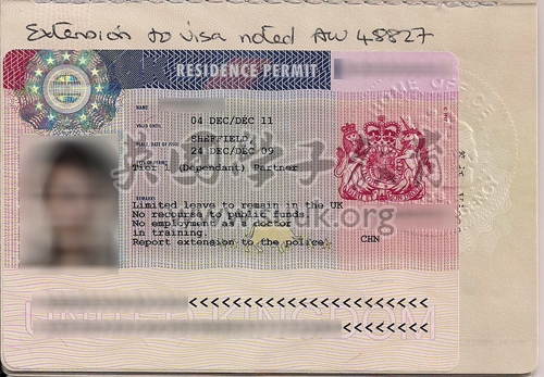 英国高技术移民配偶签证(Tier 1 Dependant Partner)申请成功案例